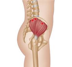 Gluts Physio Rugby